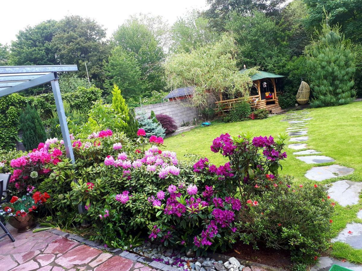 Villa-Seerose ケルン エクステリア 写真